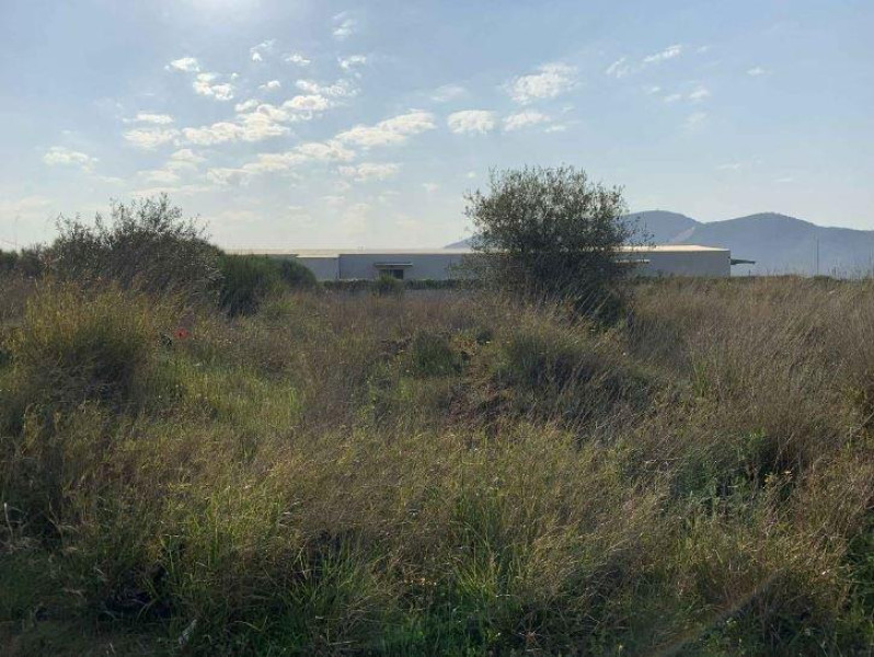 Land Plot, Markopoulo 