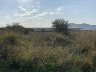 Αγροτεμάχιο, Μαρκόπουλο 