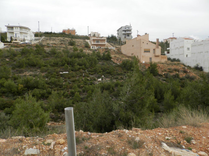 Plot, Agios Spyridon