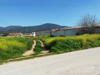 Οικόπεδο, Χιλιομόδι