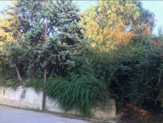 Οικόπεδο, Σουρωτή, Θέρμη