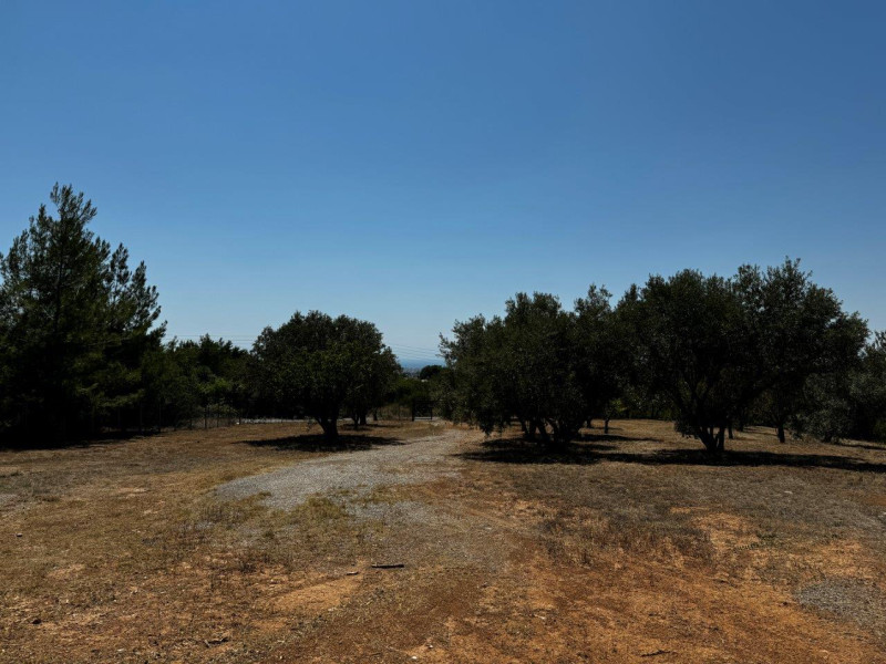 Plot of land, Pylaia