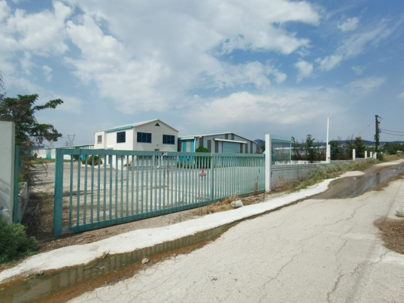 Commercial warehouse, Oraiokastro