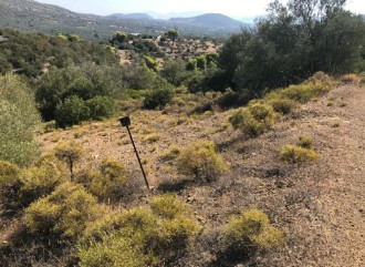 Αγροτεμάχιο, Ερμιόνη