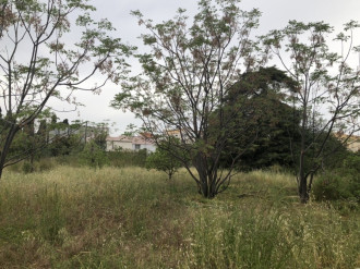 Οικόπεδο, Ιξιά, Ρόδος