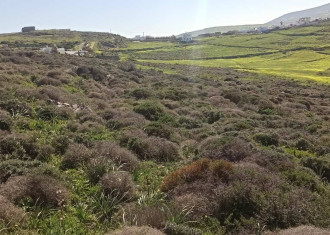 Αγροτεμάχιο, Μάρπησσα, Πάρος