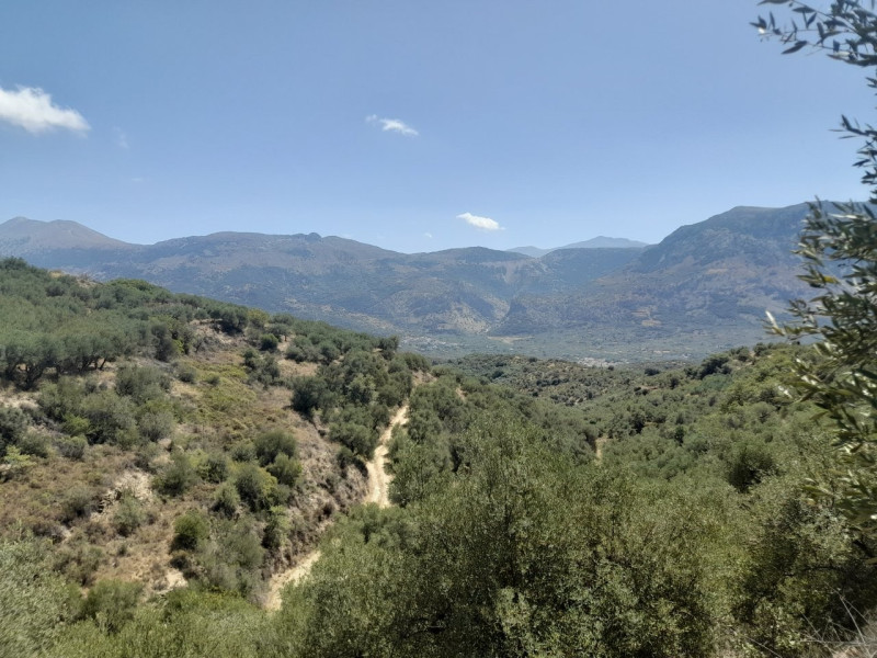 Argicultural plot, Chersonissos