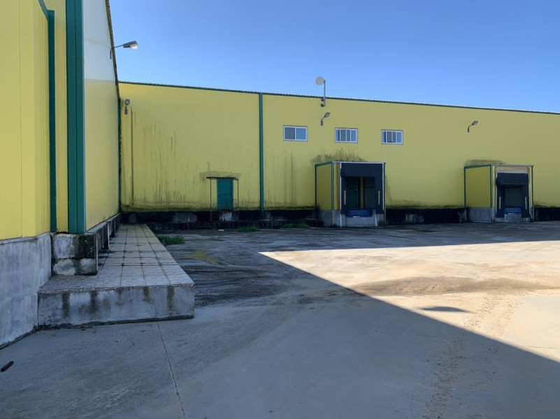 Two agri-industrial properties, Ilia