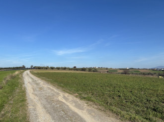 Αγροτεμάχιο, Σχολάρι, Θεσσαλονίκη