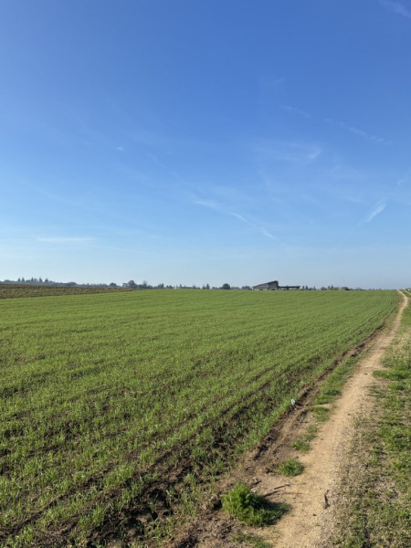 Plot, Ano Peraia, Thessaloniki