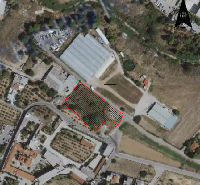 Parcel land, Metamorfosis