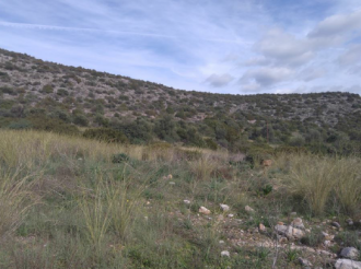 Οικόπεδο, Μυστράς